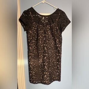 LOFT Elegant Navy lace with nude lining cocktail Dress Sz 2P